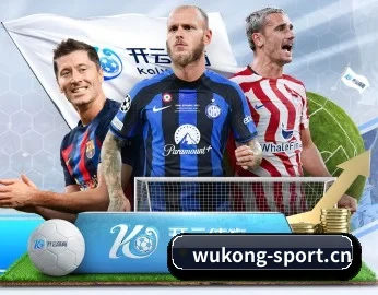 专业体育资讯平台（wukongsports）